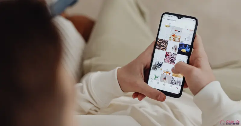 que-es-el-feed-de-instagram